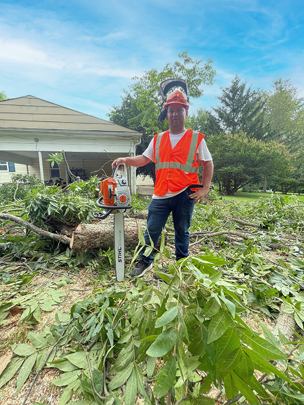 Contact Tree CM Service