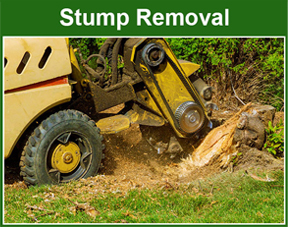 stump grinding